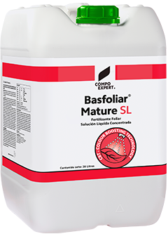 Basfoliar Mature Sl Compo Expert